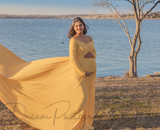 Ankita V. & Ravi C. Maternity-19