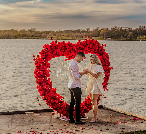 Sopia & Elian Wedding Proposal-13