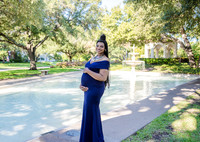 Brittany Hamilton Family Maternity-3