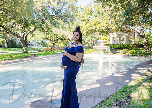 Brittany Hamilton Family Maternity-3