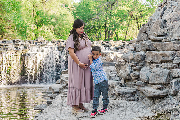 Estefany Fernandez La Torre Family Maternity-4
