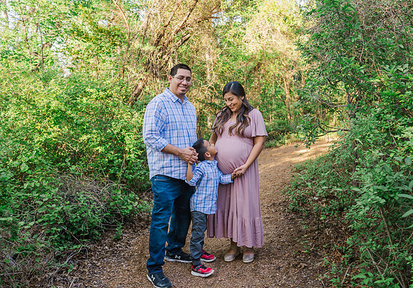 Estefany Fernandez La Torre Family Maternity-16