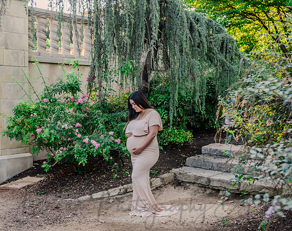 Alvin & Paola Bermudez Maternity-5