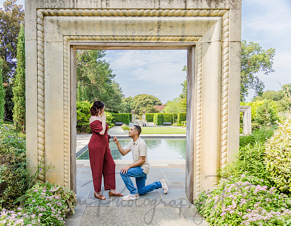 Kali & Elijah Engagement-51