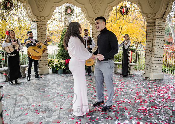 Jasyn & Brianna Wedding Proposal-8