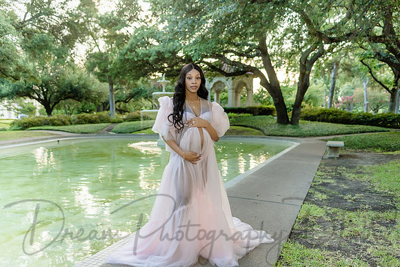 Essence Caldwell Maternity-12