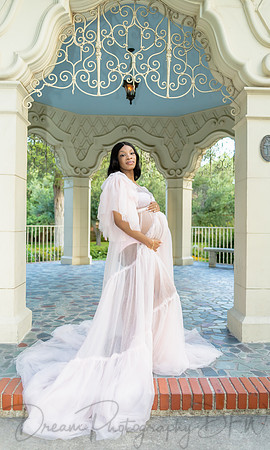 Essence Caldwell Maternity-18