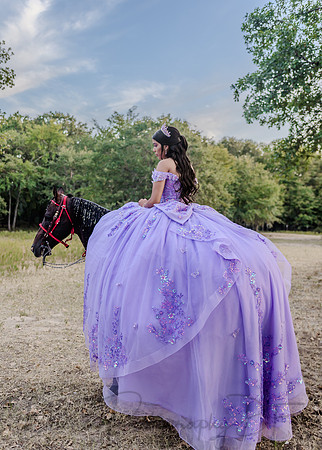 Esmeralda Bustillos Quinceanera-60