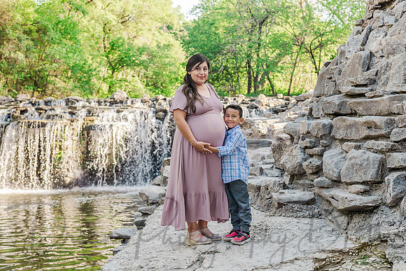 Estefany Fernandez La Torre Family Maternity-5