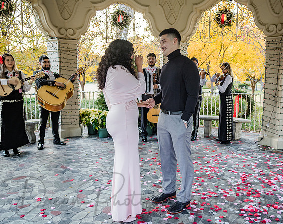 Jasyn & Brianna Wedding Proposal-11