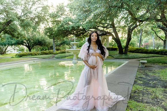 Essence Caldwell Maternity-11