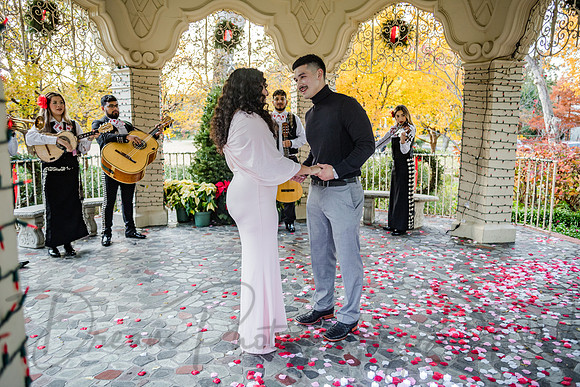 Jasyn & Brianna Wedding Proposal-10