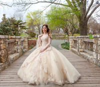 Laura Robles Quinceanera-5