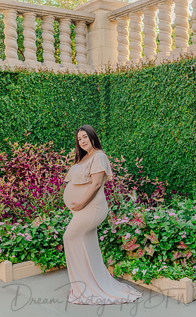 Alvin & Paola Bermudez Maternity-17