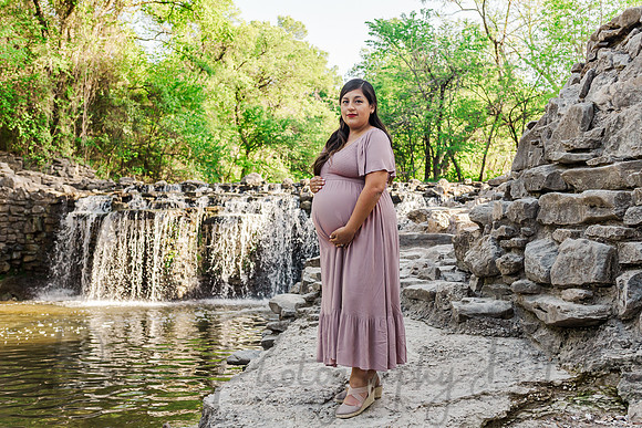 Estefany Fernandez La Torre Family Maternity-1