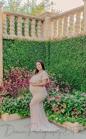 Alvin & Paola Bermudez Maternity-16
