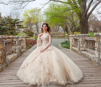 Laura Robles Quinceanera-6