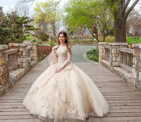 Laura Robles Quinceanera-4