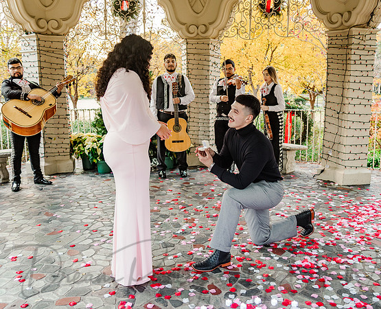 Jasyn & Brianna Wedding Proposal-17
