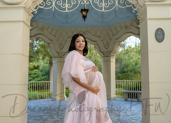 Essence Caldwell Maternity-19