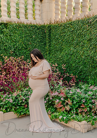 Alvin & Paola Bermudez Maternity-15