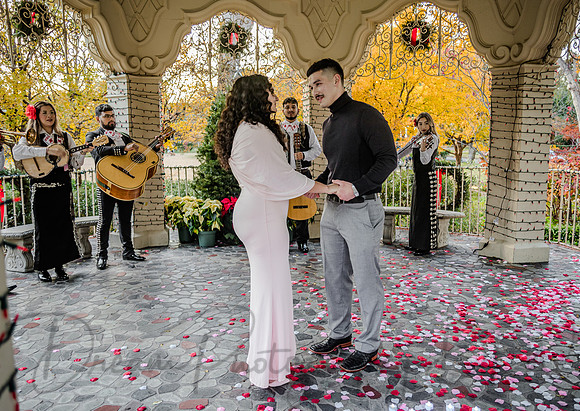 Jasyn & Brianna Wedding Proposal-9