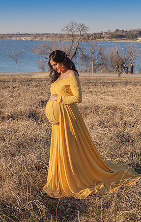 Ankita V. & Ravi C. Maternity-4