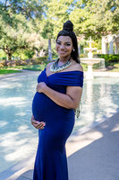 Brittany Hamilton Family Maternity-1